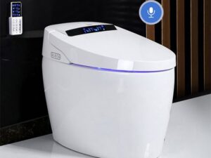 Bồn cầu thông minh Enic SMART B09 (Voice AI)