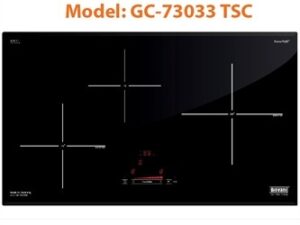 Bếp từ Giovani GC-73033 TSC